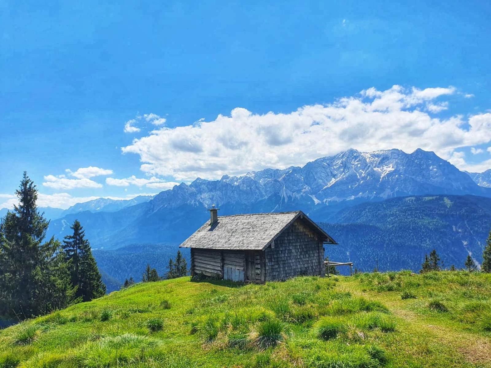 Apartment Alpspitze *