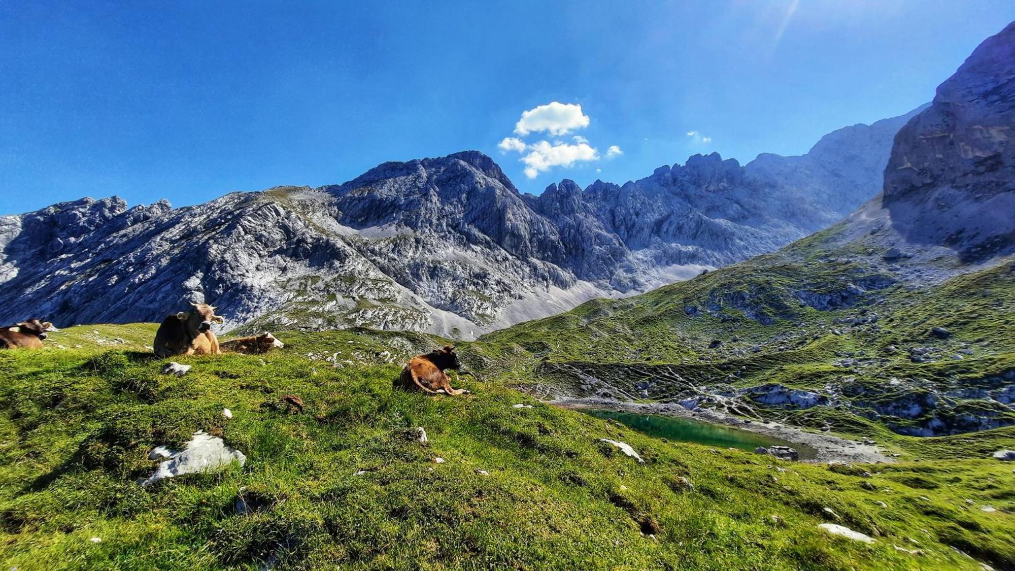 Alpspitze * Grainau